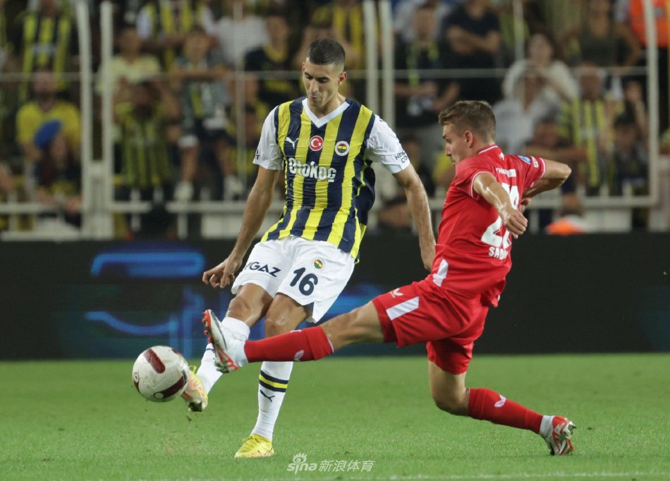 不仅是对一 不仅是对一