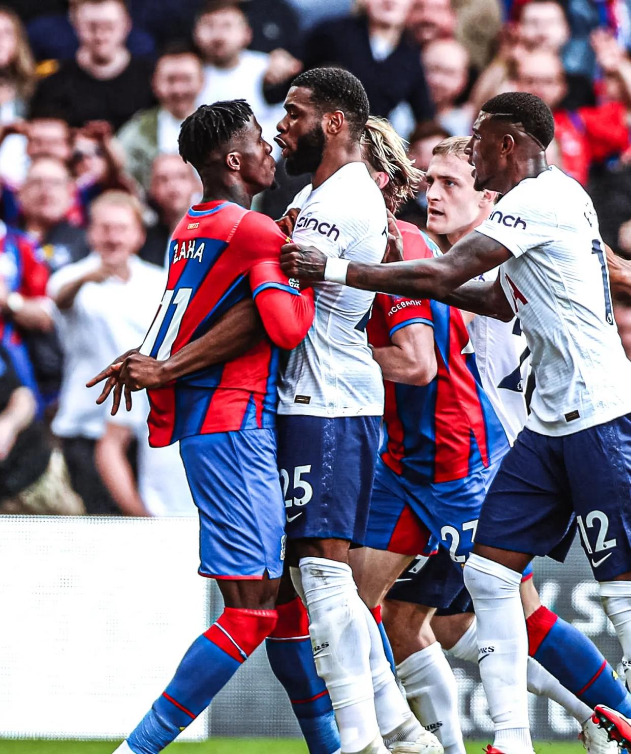 疑是他高评 疑是他高评